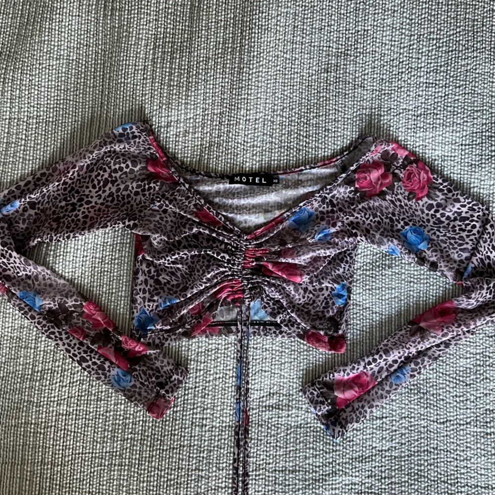 Motel Mesh Cheetah Rose Crop Top